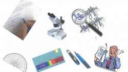 Forensic Handwriting Examination